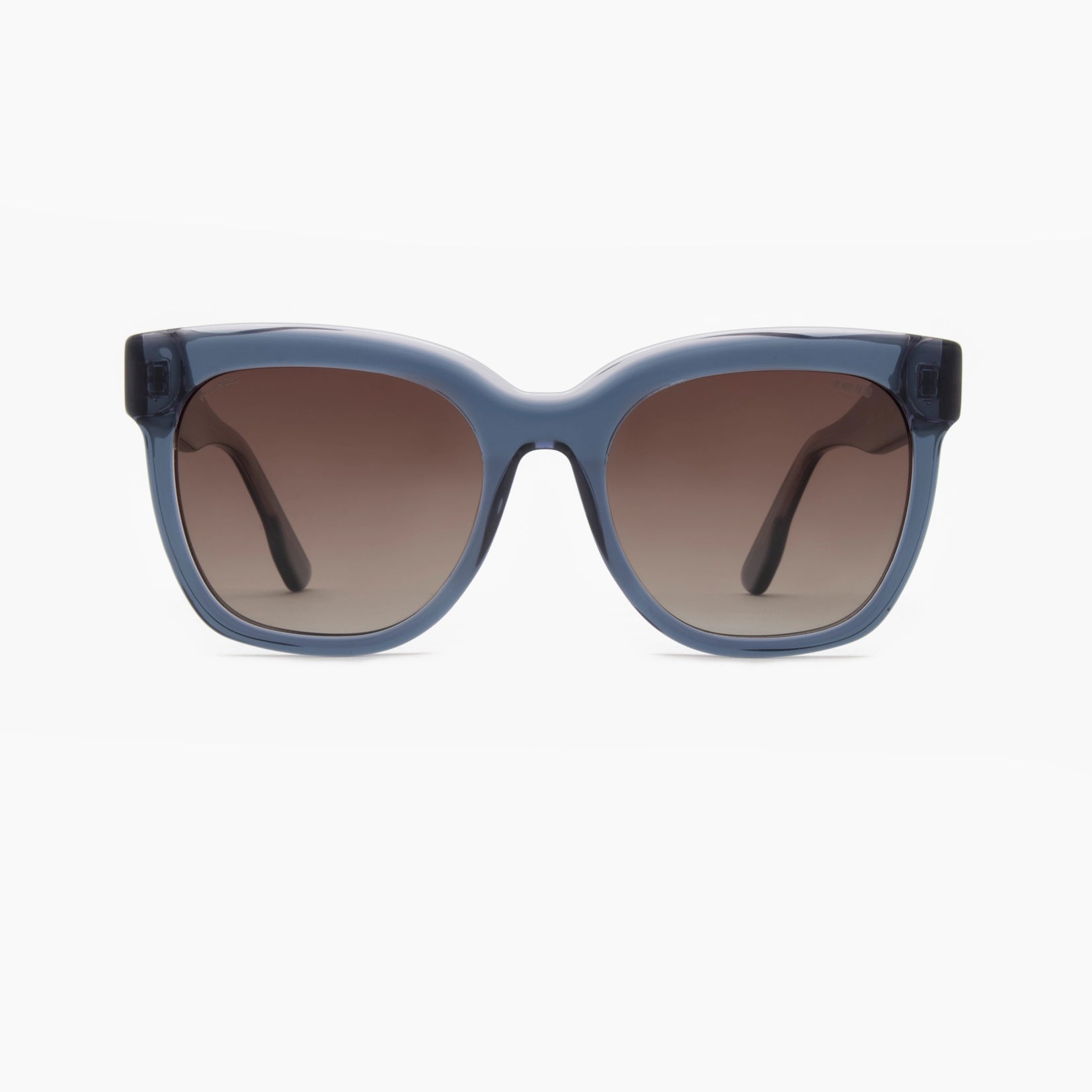 Ay Not Dead AY242 113 48