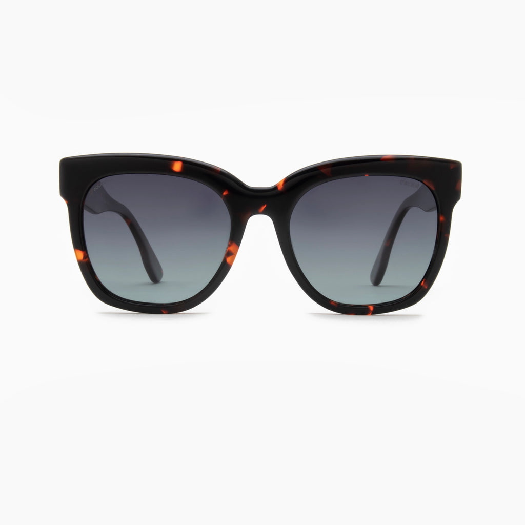 Ay Not Dead AY242 200 49