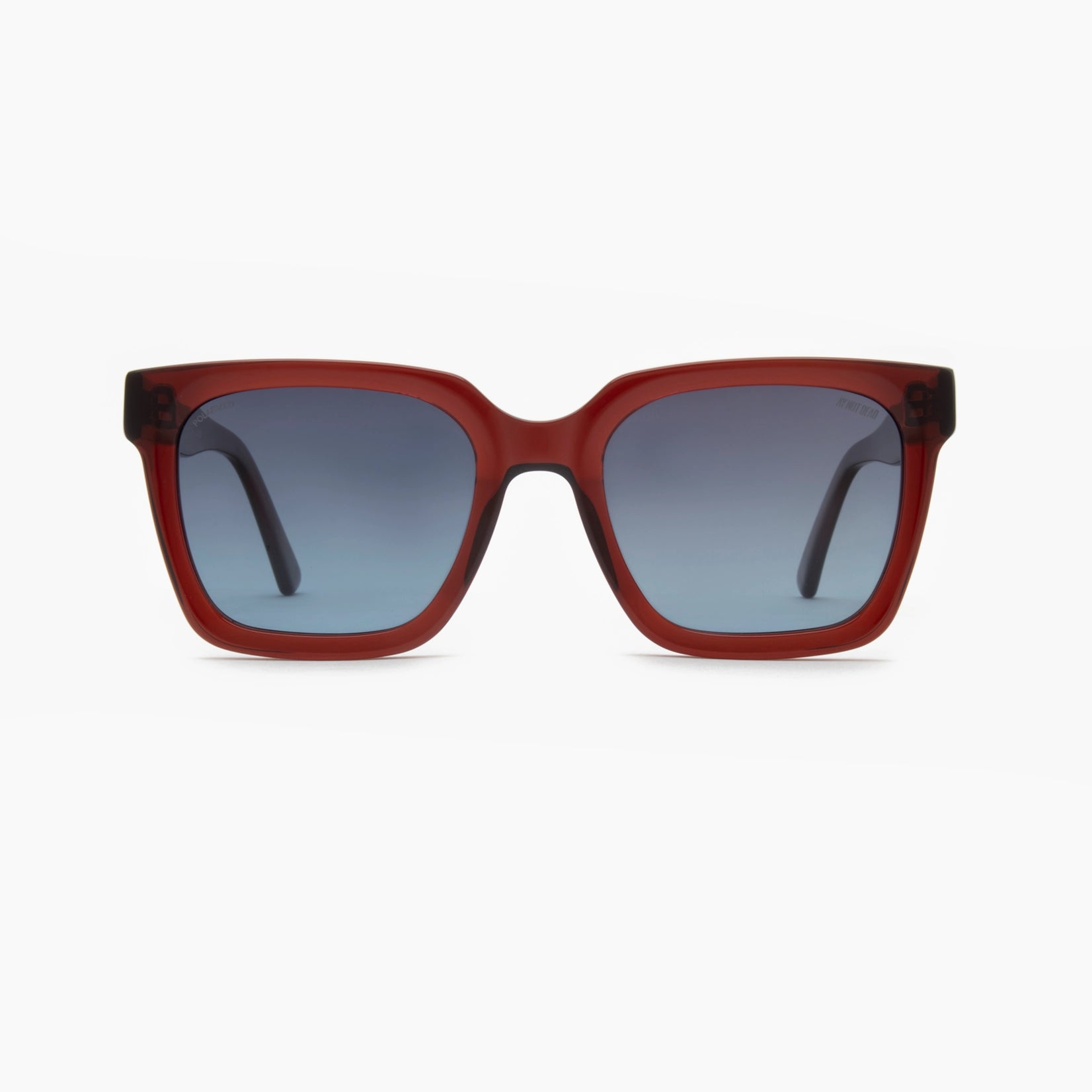 Ay Not Dead AY248 315 53