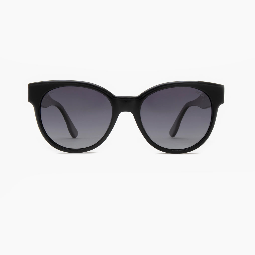 Ay Not Dead AY241 100 08