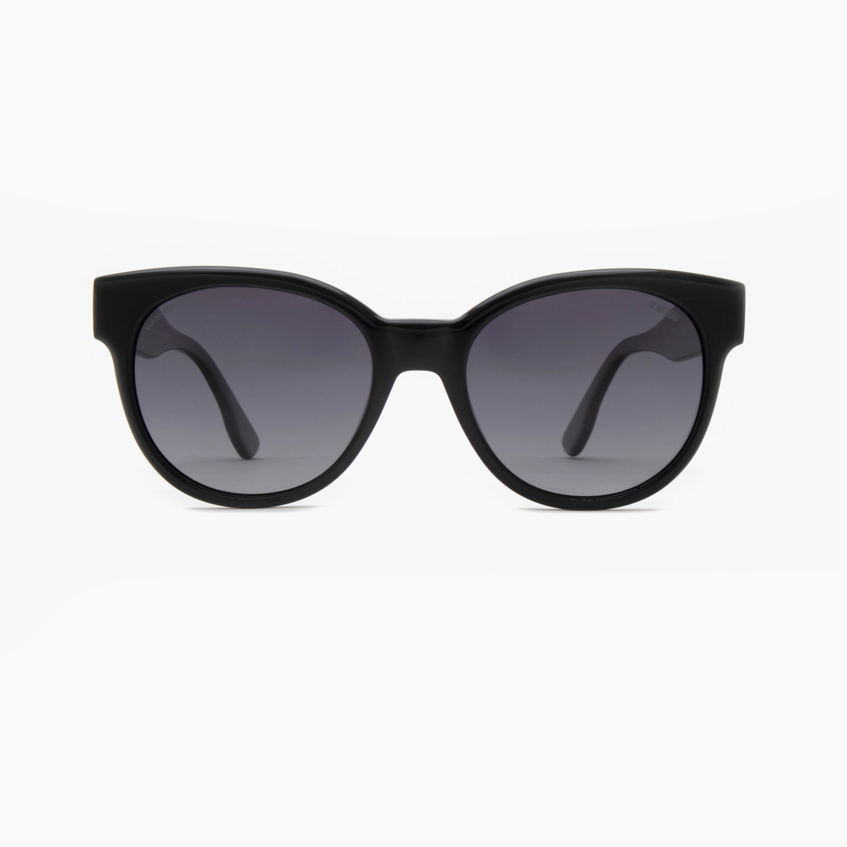 Ay Not Dead AY241 100 08