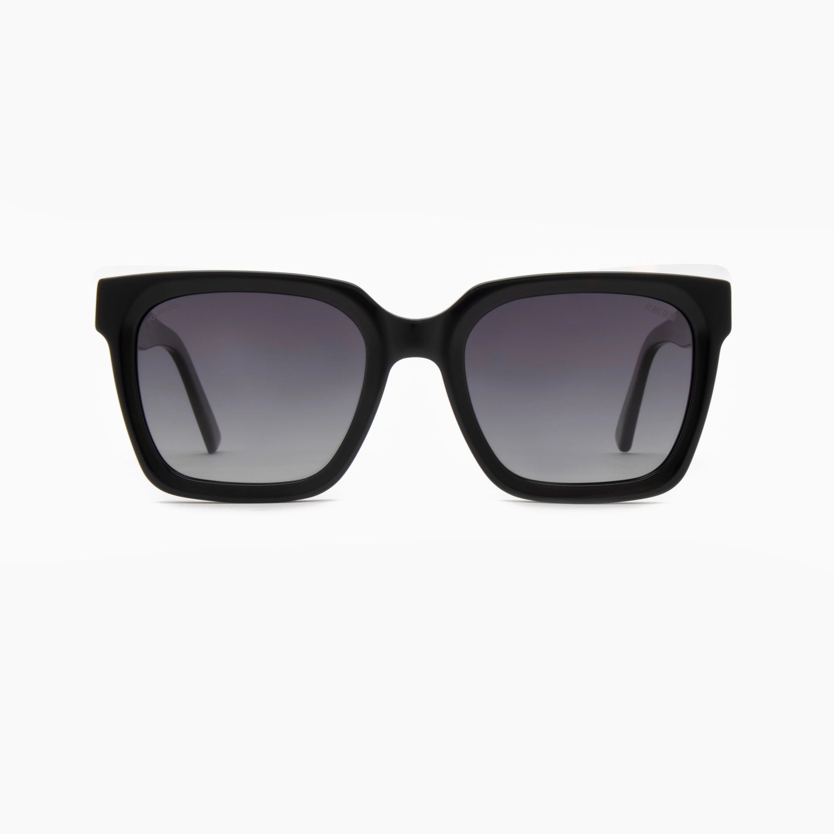 Ay Not Dead AY248 100 08